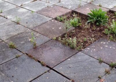 combat property maintenance facebook gallery 472