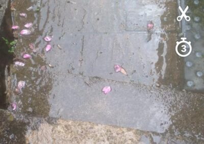 combat property maintenance facebook gallery 511