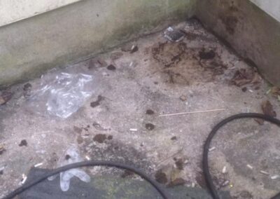 combat property maintenance facebook gallery 549